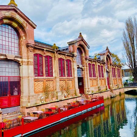 Appartement Spacieux A Colmar Avec Terrasse, Garage Privatif, Proche Centre Et Gare - Fr-1-722-2 Eksteriør bilde