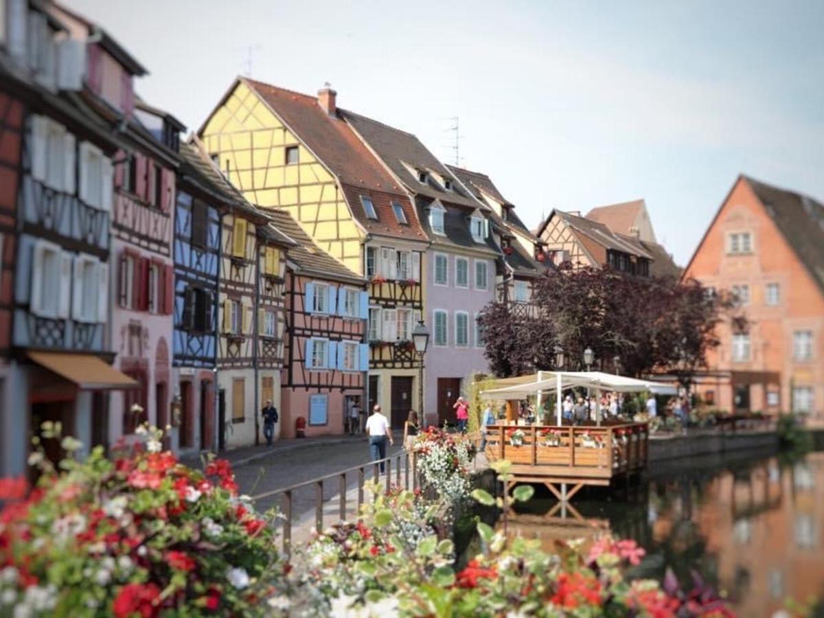 Appartement Spacieux A Colmar Avec Terrasse, Garage Privatif, Proche Centre Et Gare - Fr-1-722-2 Eksteriør bilde